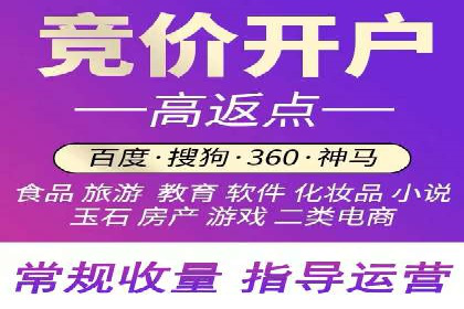 某品牌SEM推广策略的成效与启示